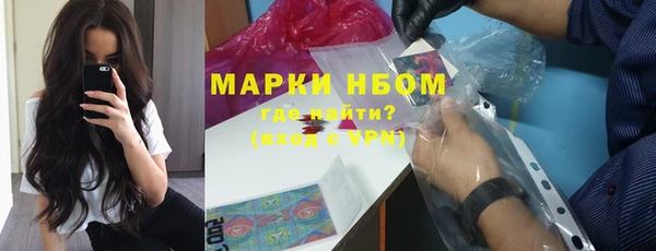 бошки Бронницы