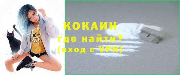 бошки Бронницы